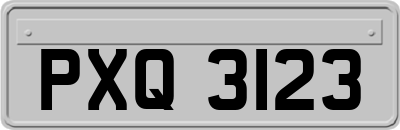 PXQ3123