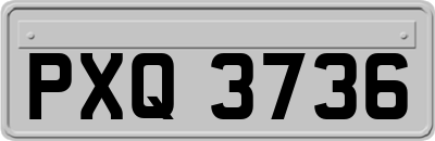 PXQ3736