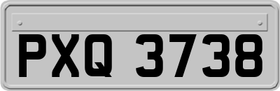 PXQ3738