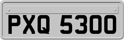 PXQ5300