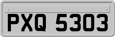 PXQ5303