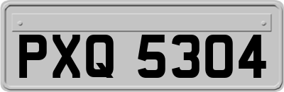 PXQ5304