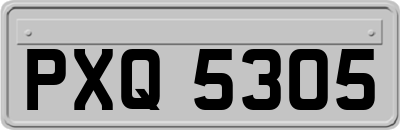 PXQ5305