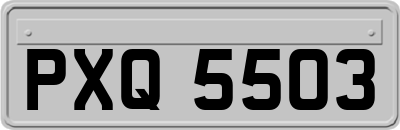 PXQ5503