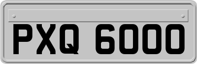 PXQ6000