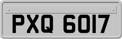 PXQ6017