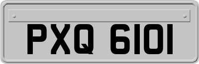 PXQ6101