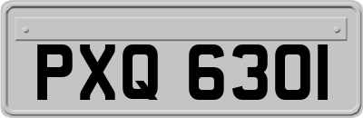 PXQ6301