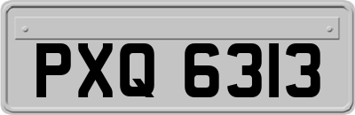 PXQ6313