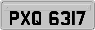 PXQ6317