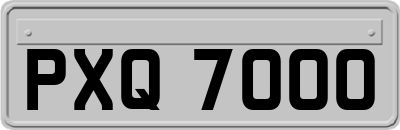 PXQ7000