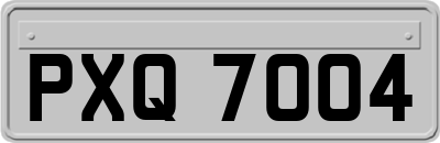 PXQ7004