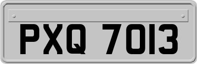 PXQ7013