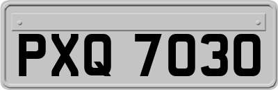 PXQ7030