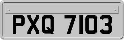 PXQ7103