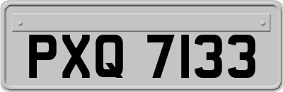 PXQ7133