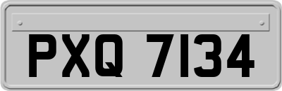 PXQ7134