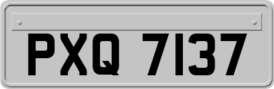 PXQ7137