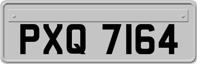 PXQ7164