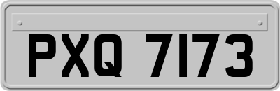 PXQ7173