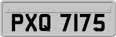 PXQ7175