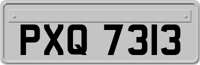 PXQ7313