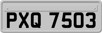 PXQ7503