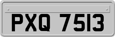 PXQ7513