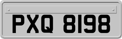 PXQ8198