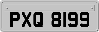 PXQ8199