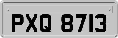 PXQ8713