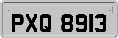 PXQ8913