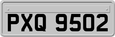 PXQ9502