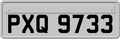 PXQ9733