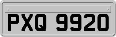 PXQ9920