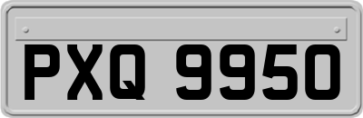 PXQ9950