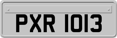 PXR1013