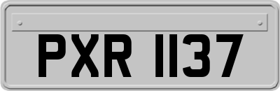 PXR1137