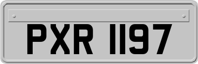 PXR1197