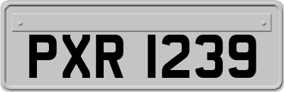 PXR1239