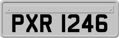 PXR1246