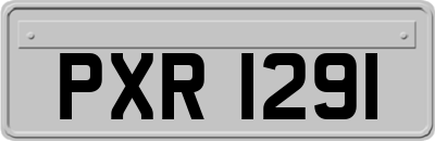 PXR1291