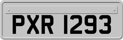 PXR1293