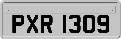 PXR1309