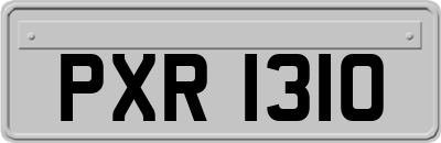 PXR1310