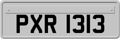 PXR1313