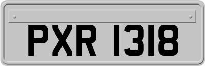 PXR1318