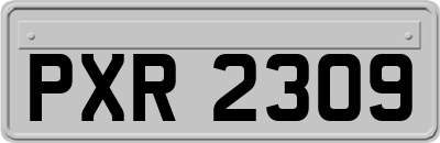 PXR2309