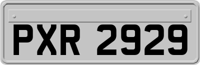 PXR2929