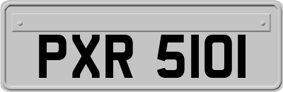 PXR5101